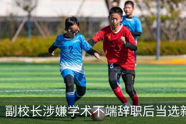 副校长涉嫌学术不端辞职后当选新职务