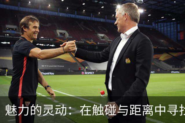 魅力的灵动：在触碰与距离中寻找到的调和之美